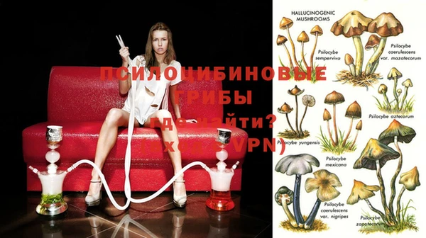 гашиш Абинск